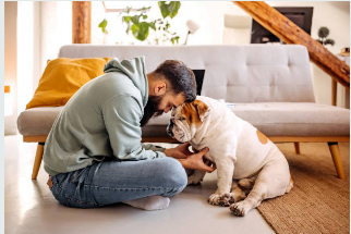 las mejores razas de perro para pisos